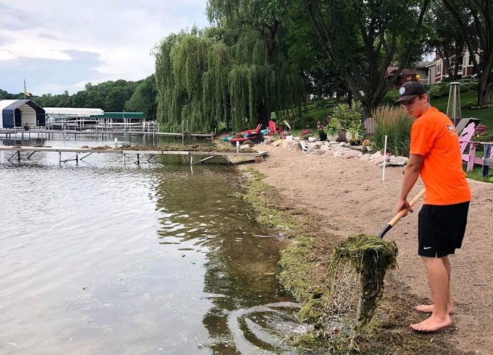 Aquatic Weed Removal & Beach Maintenance